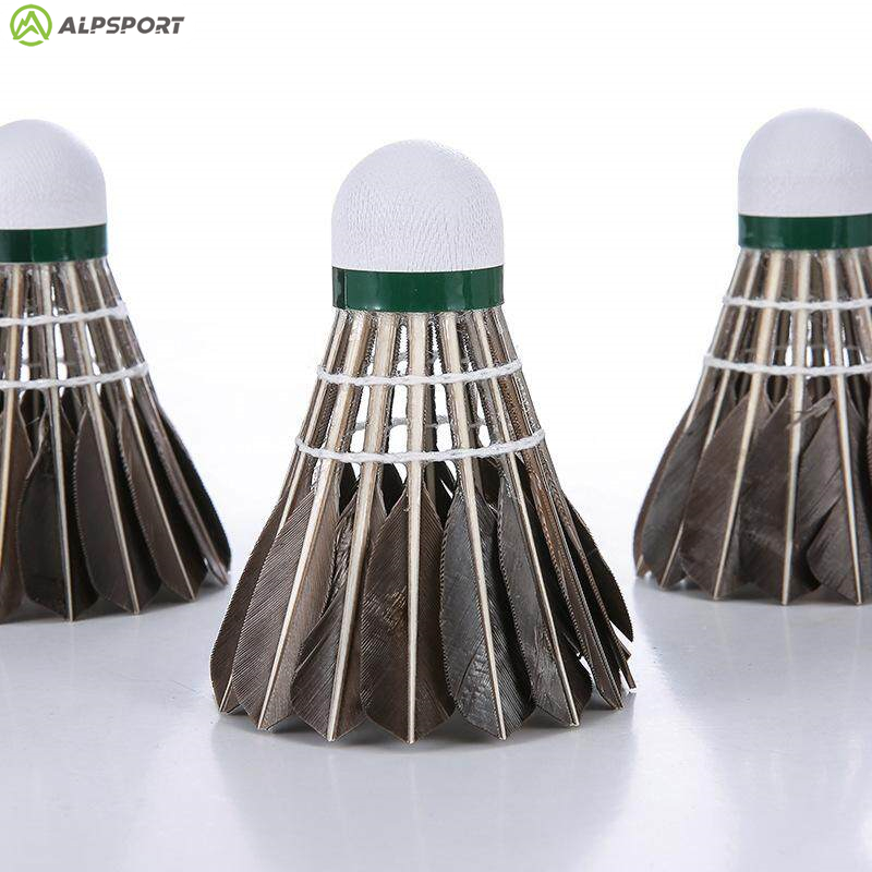 Volani da badminton ALP 806 12 - Badminton Victory recensione e prezzo