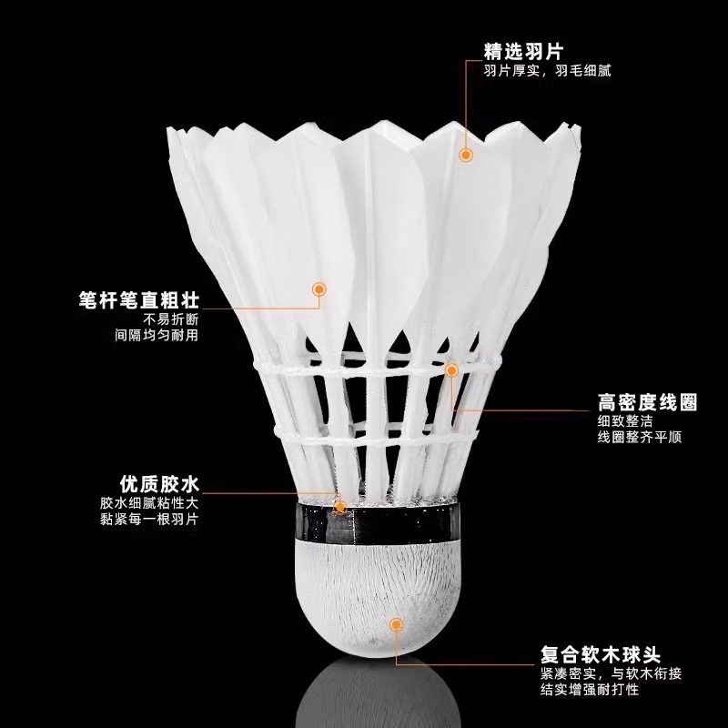 Volani da badminton Lion in pi - Badminton Victory recensione e prezzo
