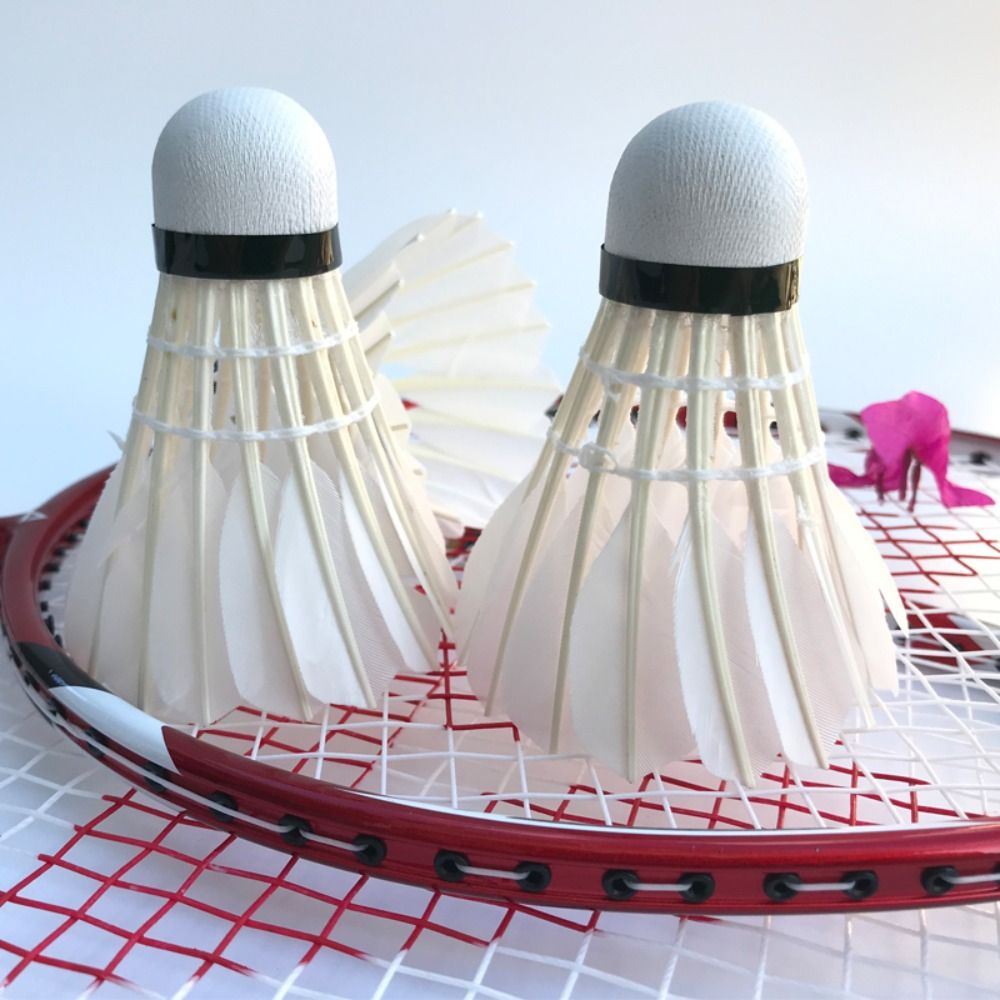 3/6/12 Pz Nuovo Volano Da Badm - Badminton Victory recensione e prezzo
