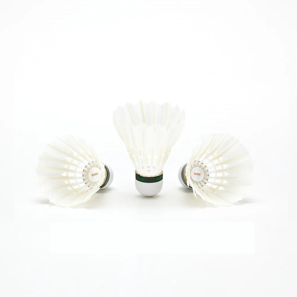 Kawasaki King Kong 500 / Queen - Badminton Victory recensione e prezzo